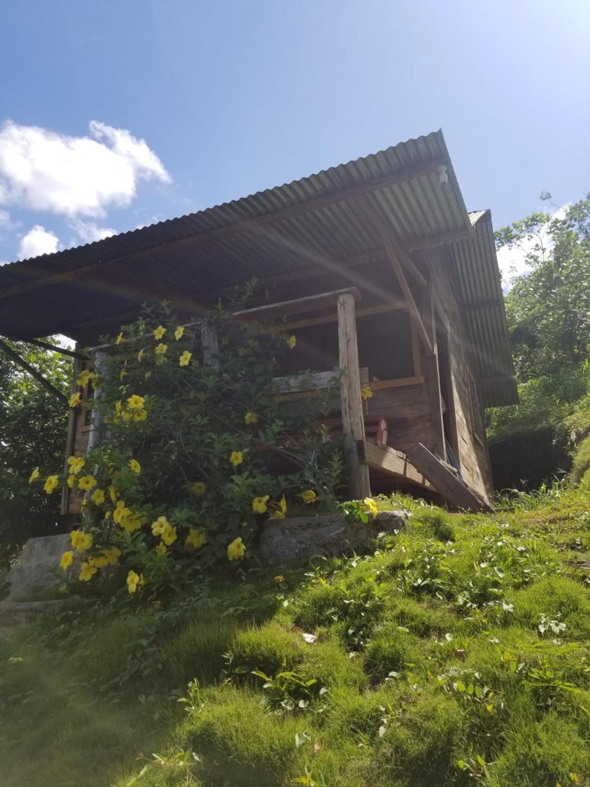 Ch'I Bocol Community Hostel Lanquin Luaran gambar